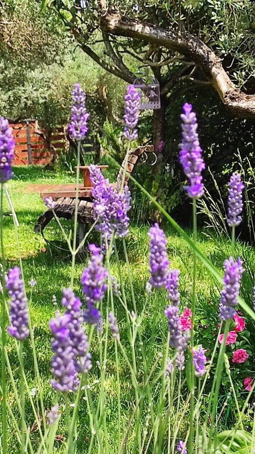 B&B La Casina Di Iris Arezzo Exterior foto